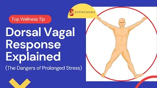 Dorsal Vagal Response Explained