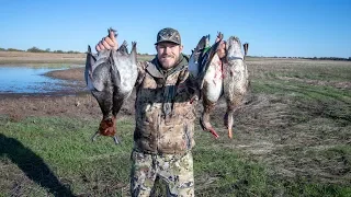 Early Season Mixed Bag Over Water