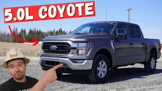 Ford F150 5.0L COYOTE V8 Engine ** Heavy Duty Mechanic Review** | 5 Things That I like!