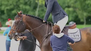 Robin Schulz ft. KIDDO -All We Got//Equestrian