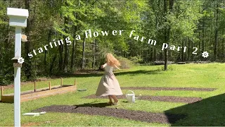 PLANTING 200+ SEEDS | transforming my backyard into my dream garden