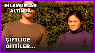 Ömer ve Elif At Çiftliğine Gittiler! - Ihlamurlar Altında 8.Bölüm