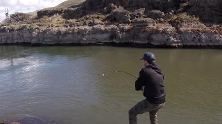 Giant White Sturgeon Fishing- Oregon Columbia River- 8ft 300lb