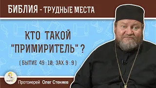 Кто такой "Примиритель" (Бытие  49:10;  Зах. 9:9)?  Протоиерей Олег Стеняев