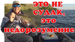 Правильная Приманка - Судак Гарантирован ▶ Fishing 2023 | #Vovabeer