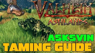 How to Tame A Asksvin in Valheim Ashlands! Full Taming Guide!