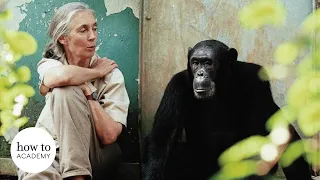 Dr Jane Goodall on Saving the Planet from Climate Change