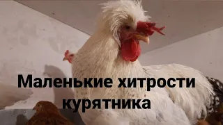 ПРАВИЛЬНЫЕ поддоны для курятника своими руками.