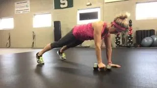 Plank with single arm row to tricep kickback