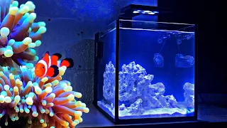 How To Set Up a Nano Reef Tank - 10 Gallon Nano Reef Tank No Skimmer