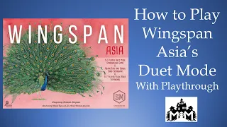 Wingspan Duet How to Play with Playthrough
