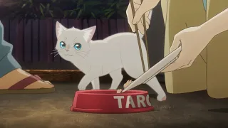 猫世界へようこそ！編PV『泣きたい私は猫をかぶる』（Netflixにて好評配信中！）