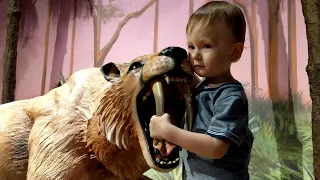 Maxic Playing and Learning at the Children's Museum | Educational Video for Toddlers and Kids.