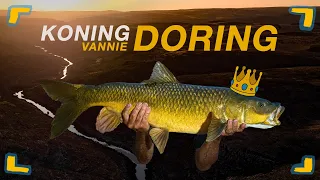 Saving Sandfish | EP6 | Koning vannie Doring