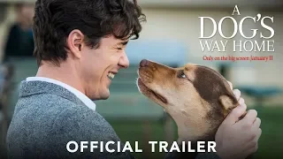 A DOG'S WAY HOME: Official Trailer