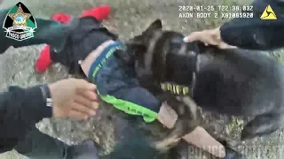 Bodycam Shows Pasco K9 Shep Quickly Takes Down Fleeing Suspect