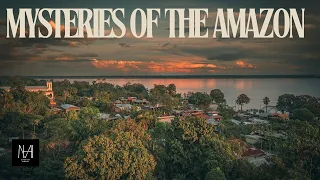 The Enchanting Mysteries of the Amazon Rainforest