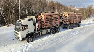 VOLVO лесовоз. высокая гора🗻