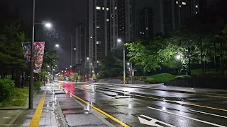 A Night Walk in the Heavy Rain, Korea / 한국, 폭우 속 밤 산책