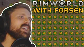 Forsen grows potatoes. Rimworld (1)