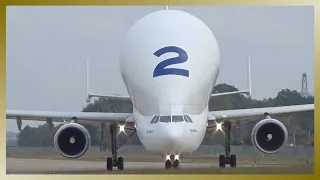 STUNNING AIRBUS BELUGA Take Off from Hamburg Airport!