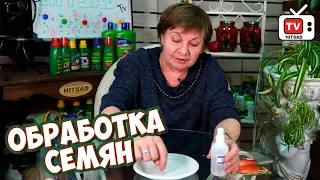 Как увеличить всхожесть семян? Перекись водорода. Хитсад ТВ