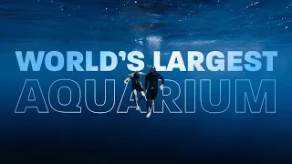 Inside the World’s Largest Aquarium