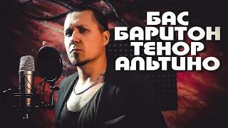 Бас баритон тенор альтино