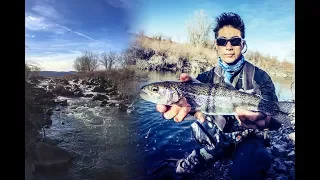 Winter Trout Fishing on the South Platte River in Downtown Denver COLORADO