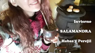 Invierno, SALAMANDRA. Habas y Perejil (Julio 2da parte)