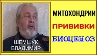 МИТОХОНДРИИ, ПРИВИВКИ, БИОЦЕНОЗ. Владимир Шемшук