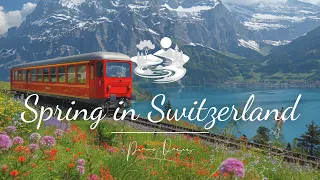 🎧Soothing Relaxation Music For Spingtime 🎧 Beautiful Piano Music | The Eiger Mountain In Switzerland