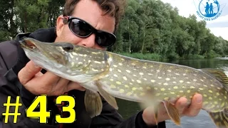 Die Vielfalt der Peene | Raubfische angeln vom Bellyboot und am Bach | Livebisse