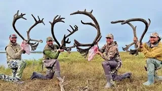 Alaska NBR Caribou Hunt 2023