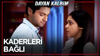 Kader Ağlarını Onlar İçin Ördü 😍 | Dayan Kalbim 50. Bölüm