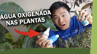 Entenda a ÁGUA OXIGENADA, e aprenda a usar nas suas plantas.