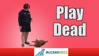 How To Teach Your Dog To "Play Dead"