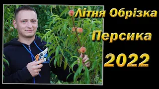 Літня обрізка персика 2022