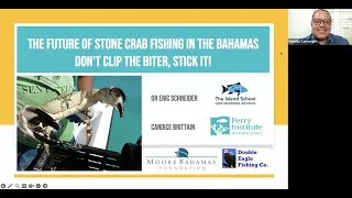 The Future of Stone Crab Fishing in The Bahamas [Webinar]