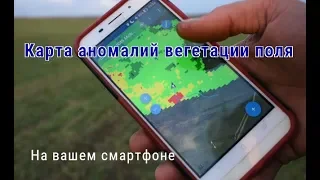 NDVI карта вегетации поля на смартфоне