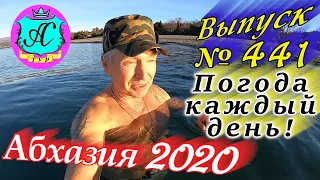 🌴 Абхазия 2020 погода и новости❗30 декабря 💯 Выпуск №441🌡ночью +7°🌡днем +19°🐬море +13,5°🌴