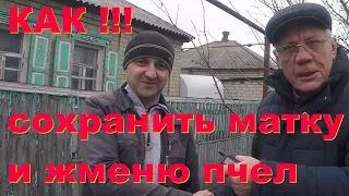 Как сохранить матку и жменю пчел зимой Высокотемпературная зимовка пчел