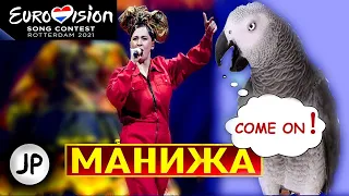 ✅ РЕАКЦИЯ говорящего попугая на песню певицы Manizha - Russian Woman  / DANCING PARROT REACTION