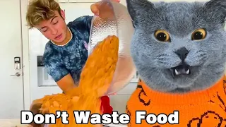 NO!! Please Stop Wasting Food!!😠| Oscar‘s Funny World | Cute And Funny Cat TikTok