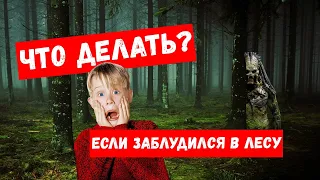 ЧТО ДЕЛАТЬ ЕСЛИ ЗАБЛУДИЛСЯ В ЛЕСУ?