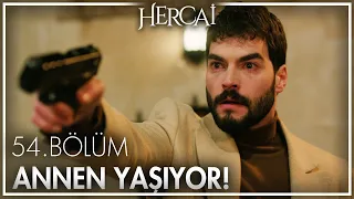 Miran, annesinin yaşadığını öğreniyor! - Hercai 54. Bölüm