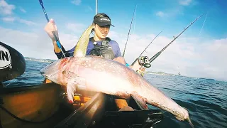 Lucky Tuna Through So Many Sharks