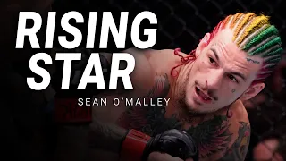 Sean O'Malley | The Sugar Show | Rising Star 2021