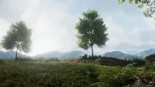 (2018) - Photorealistic Forests with Unreal Engine 4