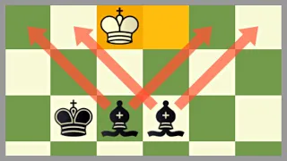 I Did The 2 Bishop Checkmate In A Game - Rating Climb 432 to 481 (Chess.com speedrun)